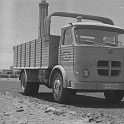 513COMBOY ARGUB